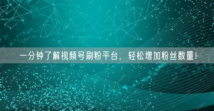 一分钟了解视频号刷粉平台，轻松增加粉丝数量！