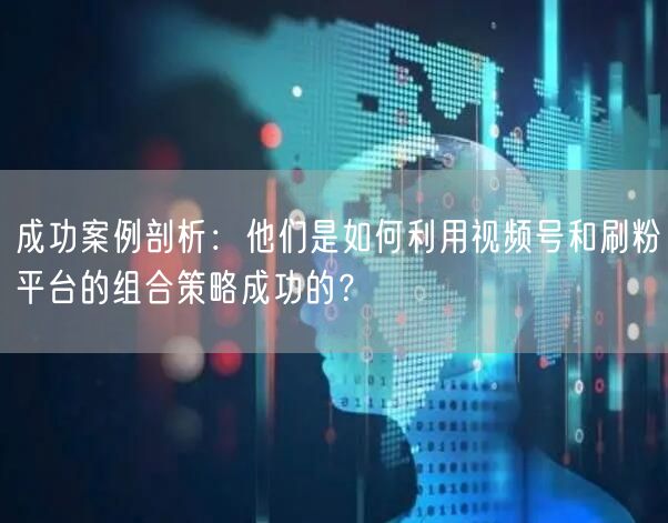 成功案例剖析：他们是如何利用视频号和刷粉平台的组合策略成功的？