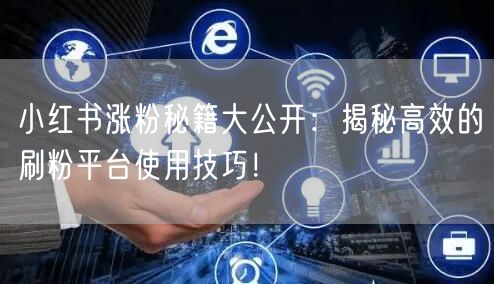 小红书涨粉秘籍大公开：揭秘高效的刷粉平台使用技巧！