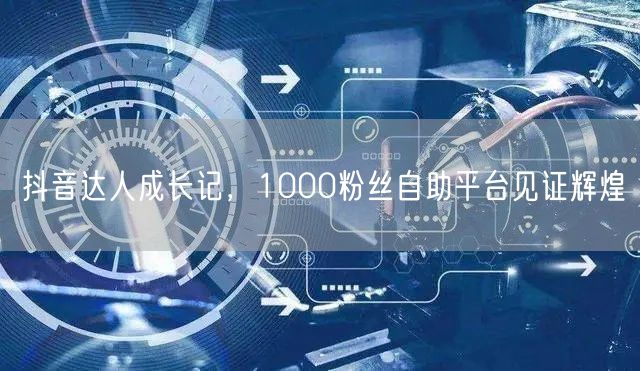 抖音达人成长记，1000粉丝自助平台见证辉煌
