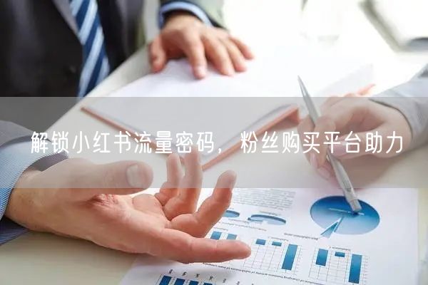 解锁小红书流量密码，粉丝购买平台助力