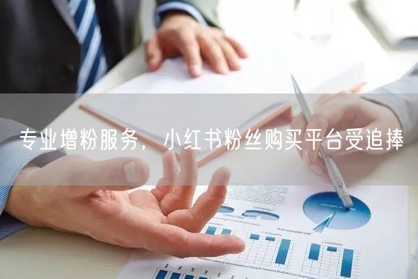 专业增粉服务，小红书粉丝购买平台受追捧