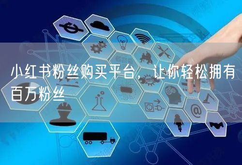 小红书粉丝购买平台，让你轻松拥有百万粉丝