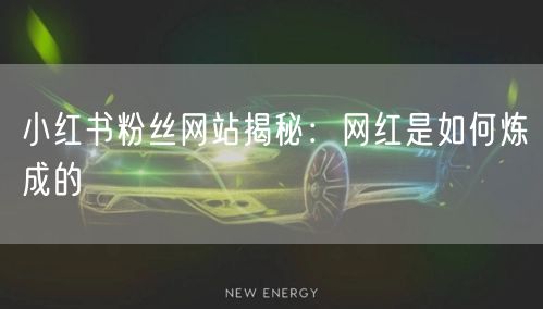 小红书粉丝网站揭秘：网红是如何炼成的