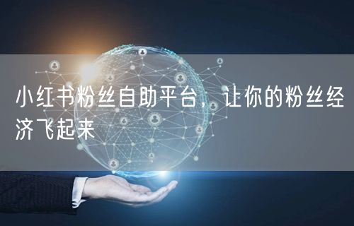 小红书粉丝自助平台，让你的粉丝经济飞起来