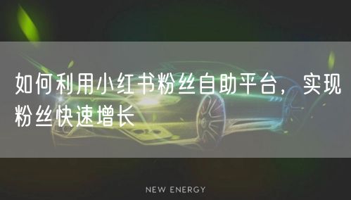 如何利用小红书粉丝自助平台，实现粉丝快速增长