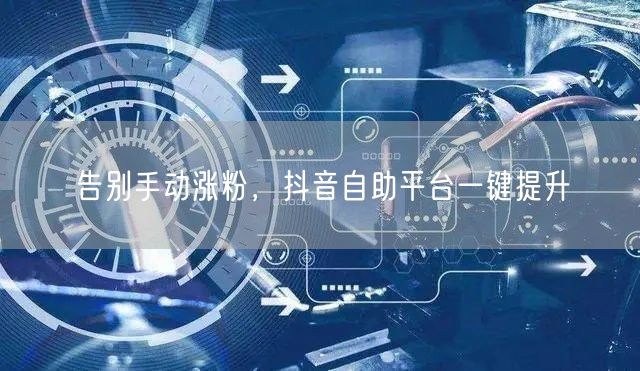 告别手动涨粉，抖音自助平台一键提升