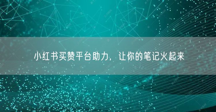 小红书买赞平台助力，让你的笔记火起来