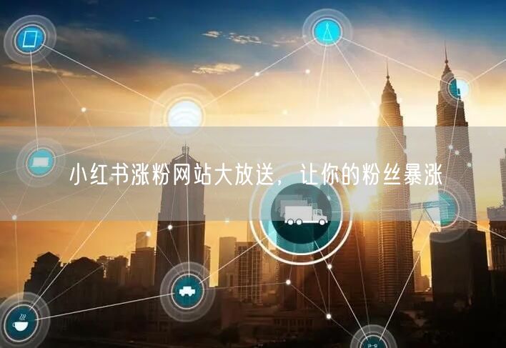 小红书涨粉网站大放送，让你的粉丝暴涨