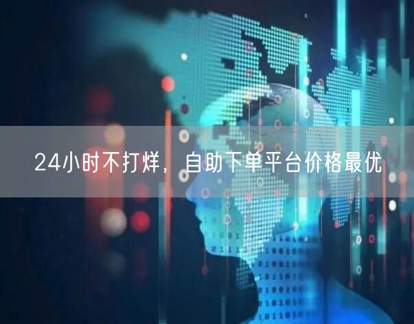 24小时不打烊，自助下单平台价格最优
