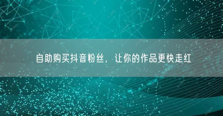 自助购买抖音粉丝，让你的作品更快走红