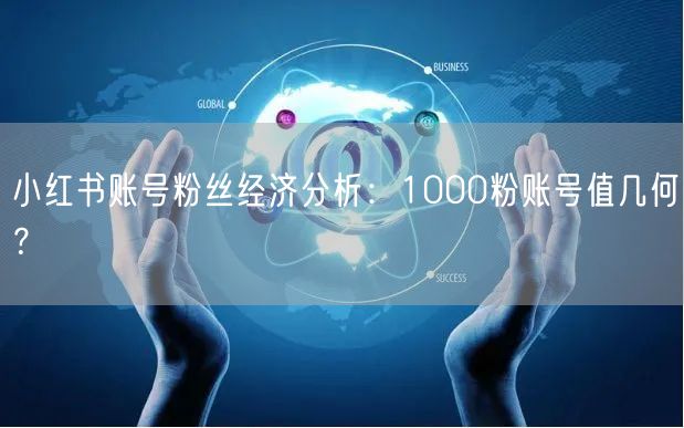 小红书账号粉丝经济分析：1000粉账号值几何？
