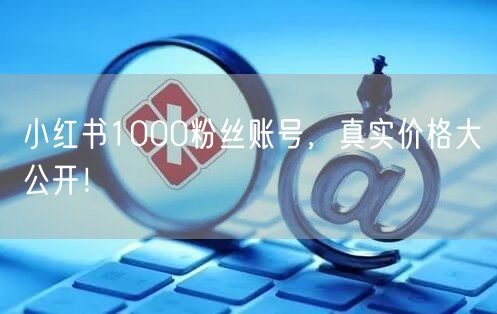 小红书1000粉丝账号，真实价格大公开！
