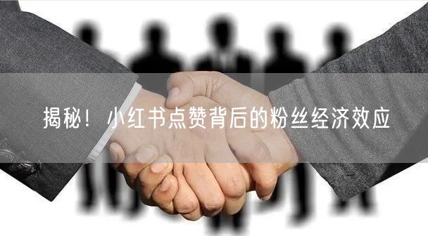 揭秘！小红书点赞背后的粉丝经济效应