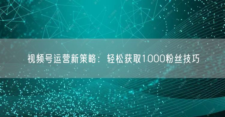 视频号运营新策略：轻松获取1000粉丝技巧