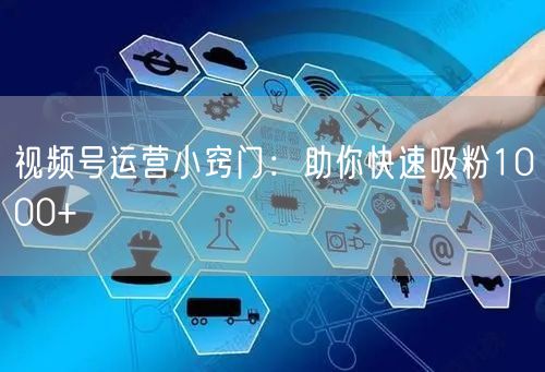 视频号运营小窍门：助你快速吸粉1000+
