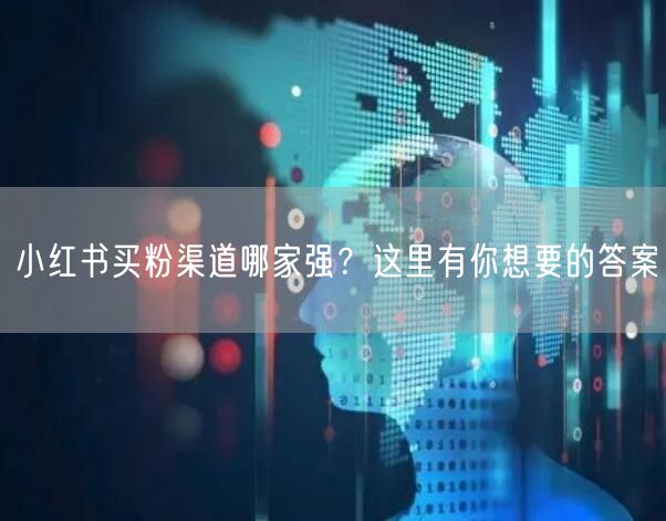 小红书买粉渠道哪家强？这里有你想要的答案