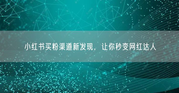 小红书买粉渠道新发现，让你秒变网红达人