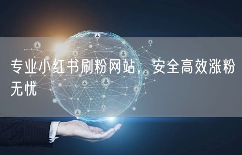 专业小红书刷粉网站，安全高效涨粉无忧